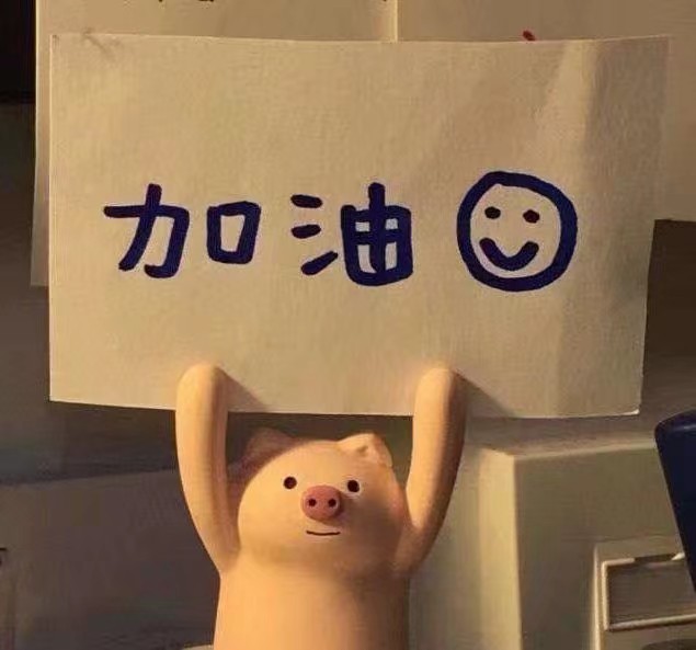 sql注入预编译无效的情况